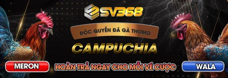 SV368 nhà cái độc quyền đá gà Thomo