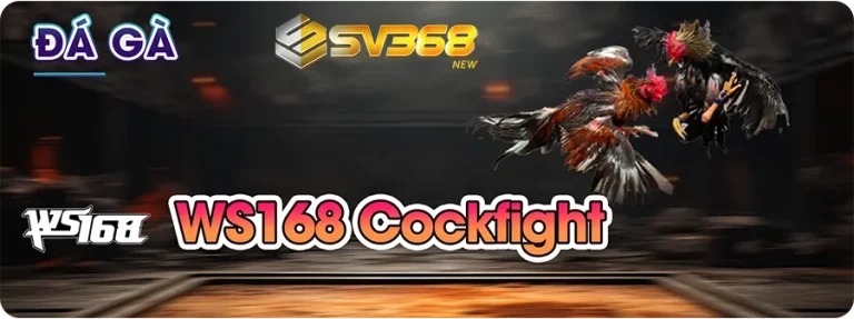 Đá gà WS168 Cockfight